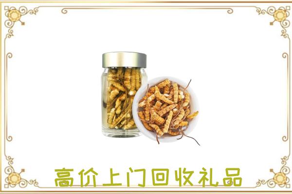 高平周边回收虫草